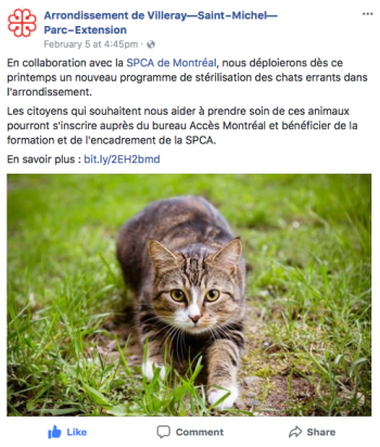 FB-VSP-stérilisationChatsErrants