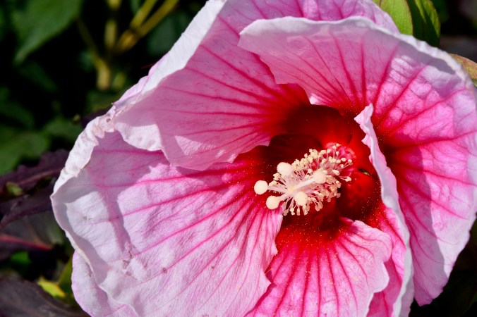 Summerific summer storm