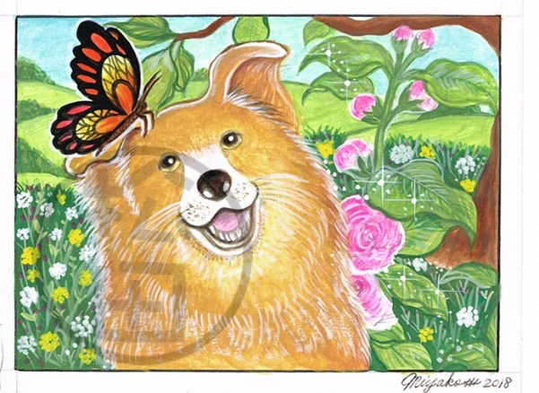 AltheaRosea-BrownDog-Butterfly