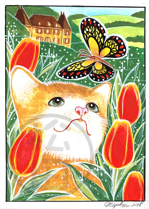 Tulips-MarmaladeCat-lowResWM