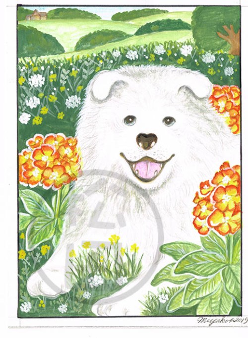 OrangeFlowers-SiberianSamoyed-LowResWM