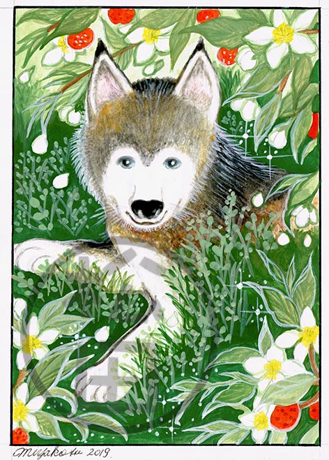 WildOrangeTree-Husky-LowResWM