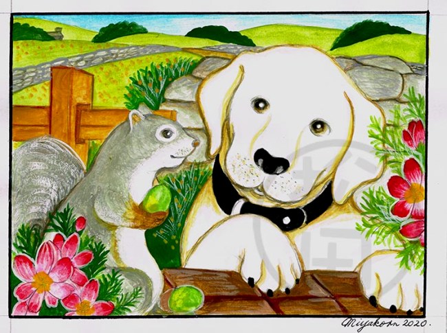 LabSquirrelAndAcornLowResWM