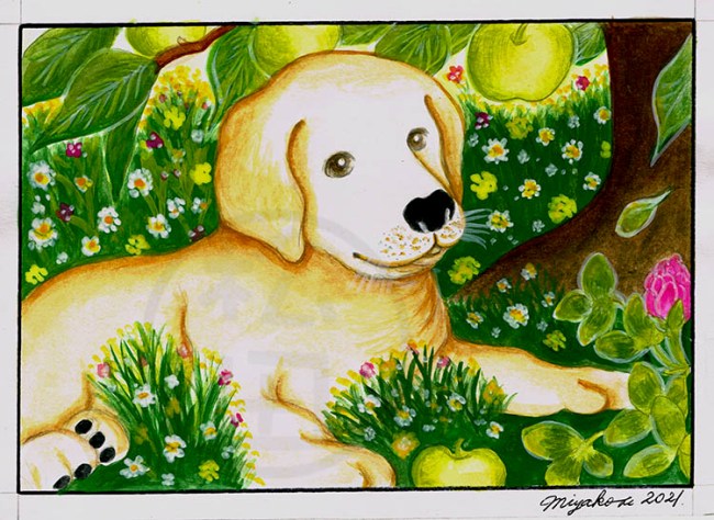 PuppyLabWithCloverUnderTheAppleTreeLowResWM