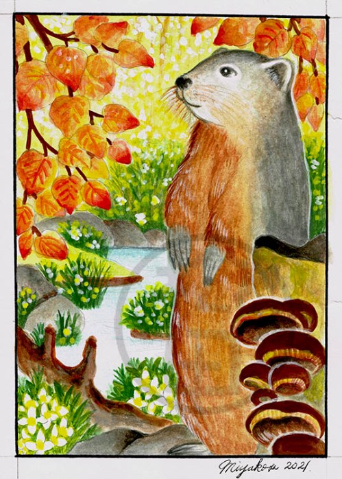 GroundhogMushroomsLowResWM