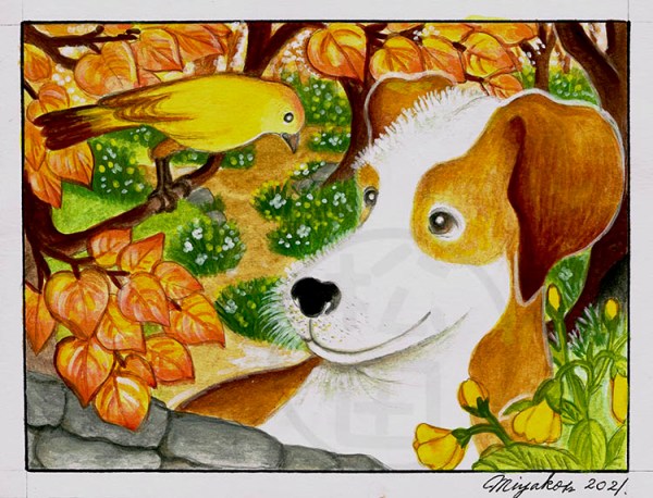 JackRussellTerrierYellowBirdLowResWM