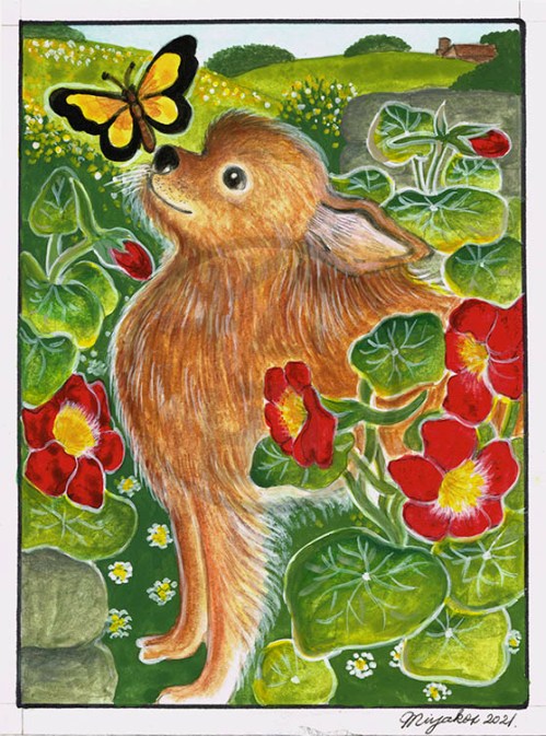 LongHairChihuahuaNasturtiumButterflyLowResWM