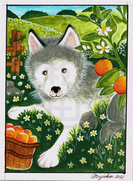 PuppyHuskyOrangesLowResWM