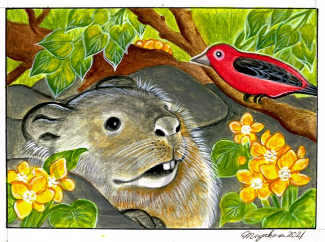 MarmotteTangaraEcarlatePopulageDesMaraisLowResWM