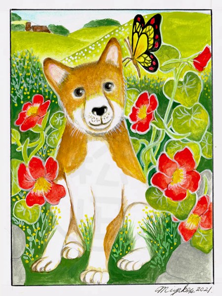 DogButterflyNasturtiumLowResWM