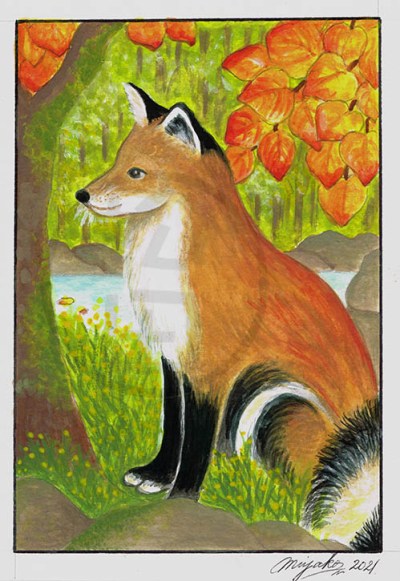 RedFoxInAutomnLowResWM