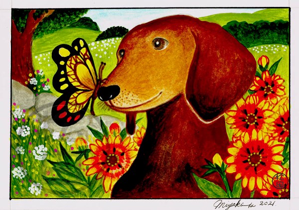 DachshundWithButterflyAndFireWheelsLowResWM