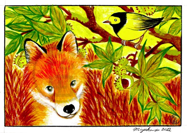 RedFoxWithHoodedWarblerLowResWM