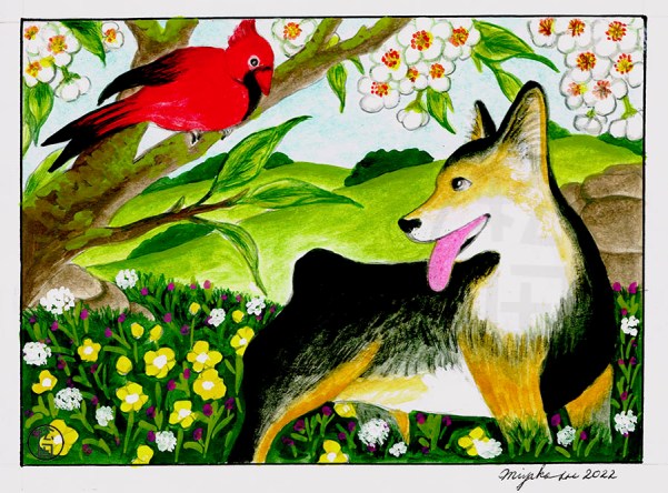 WelshCorgiWithCardinalUnderFloweringTreeLowResWM
